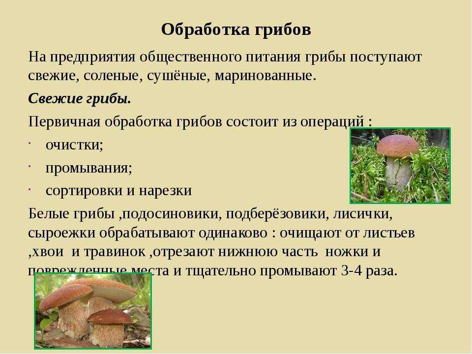 Желтый мухомор (Amanita citrina)