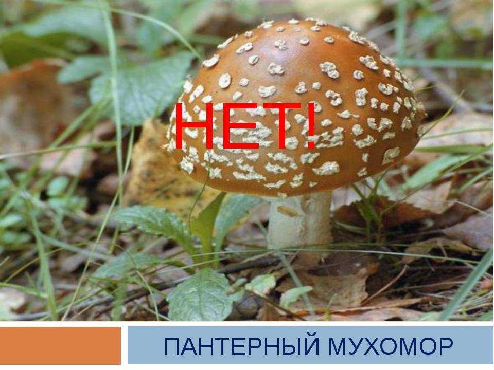 Интернет-магазины