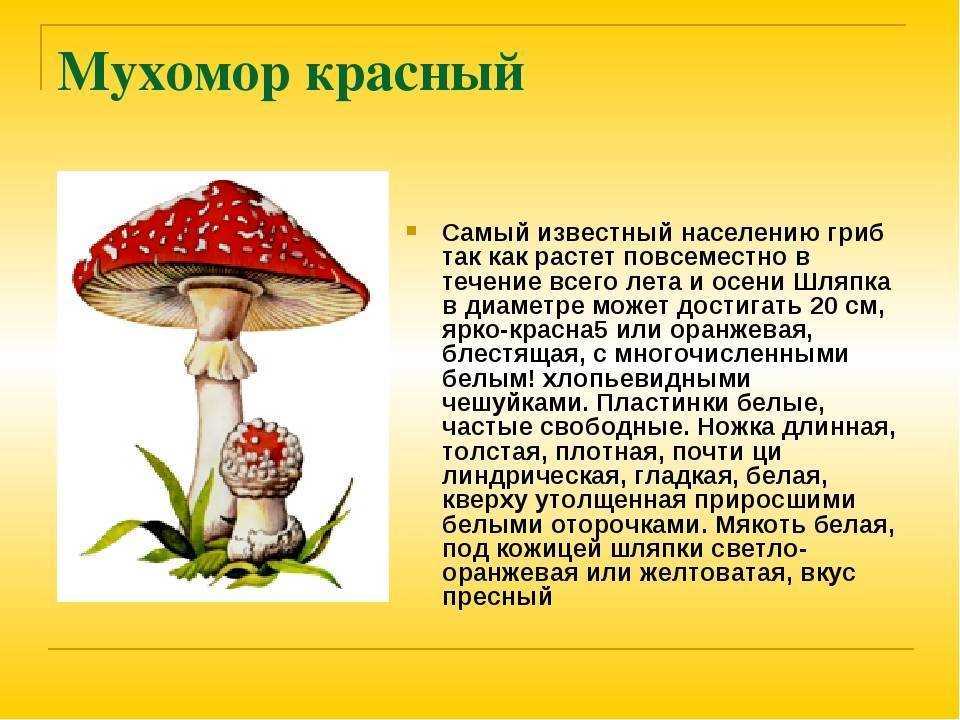 Культурное значение