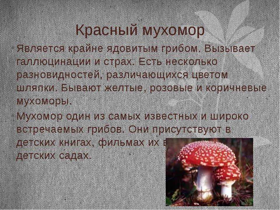 Свойства иботеновой кислоты