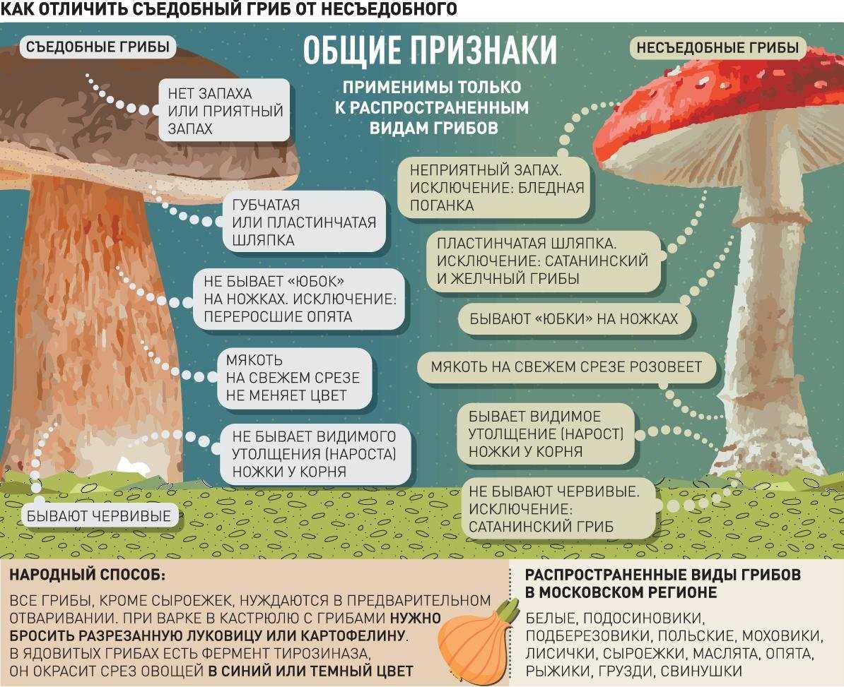 Проверка упаковки на целостность