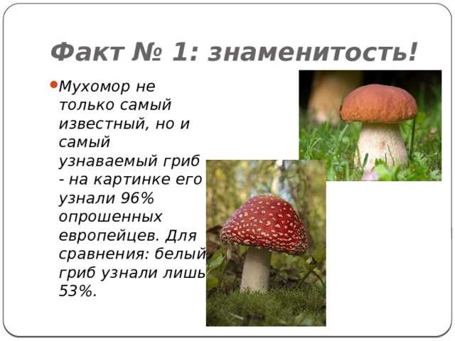 Опасность самолечения