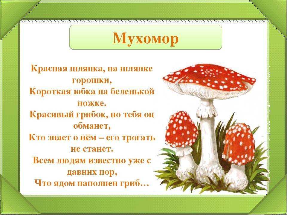 Популярные способы использования красного мухомора в народной медицине: