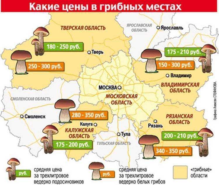 Законодательство об использовании мухоморов в Казани