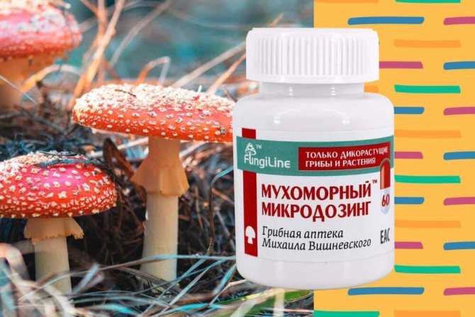 Где купить мухоморы 