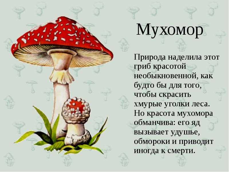 Курение мухомора