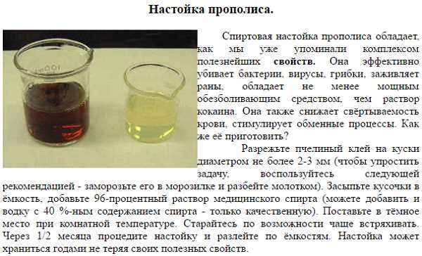 Положительные отзывы о воздействии настойки мухомора