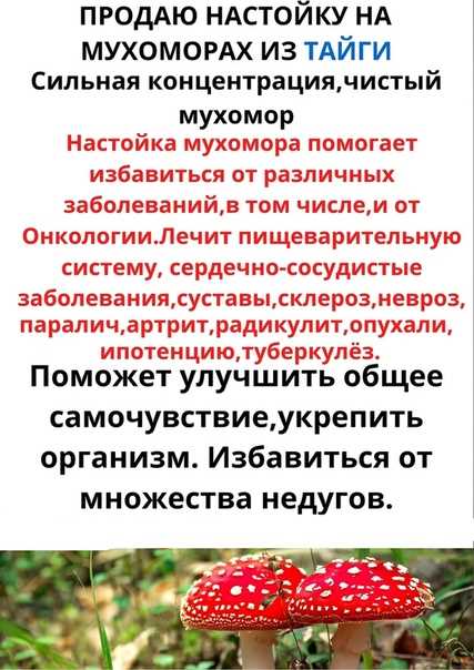 Использование мухомора