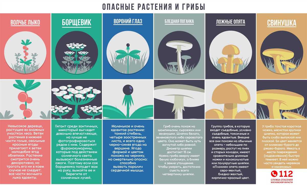 Меры безопасности: