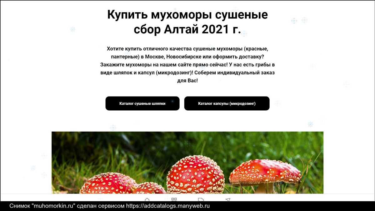 Wildberries запретил продажу мухоморов