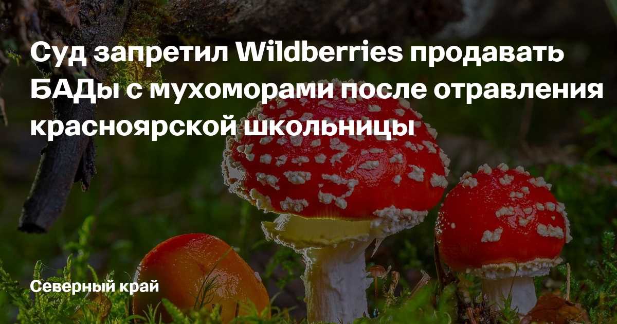 Редкие и коллекционные мухоморы