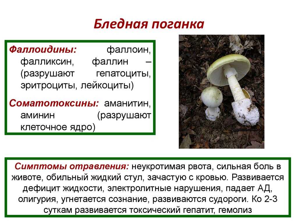 Реакция и мнение покупателей и производителей