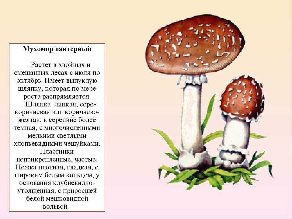 Поражение нервной системы