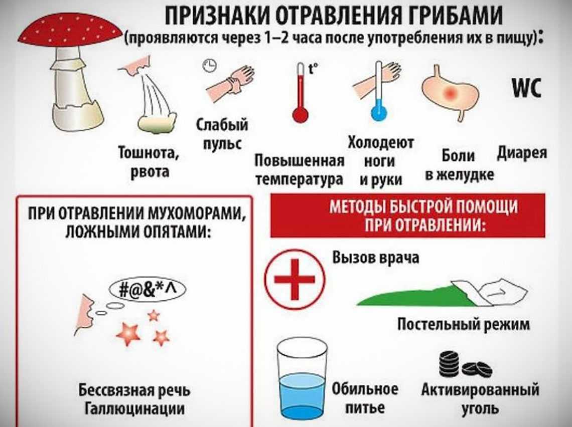 Отравление печенью и почками