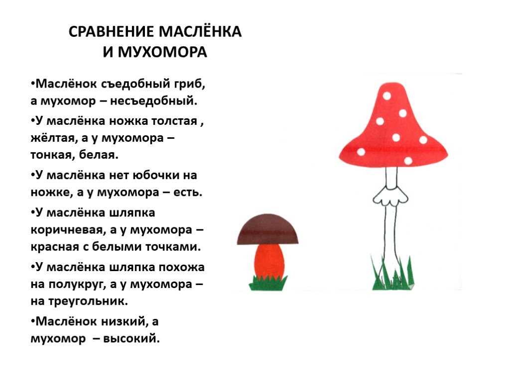 Уроки жизни, которые можно почерпнуть из сказки про мухомор