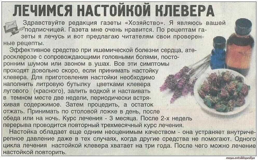 Симптомы передозировки мухомором