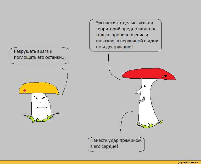 Забавная история с мухомором и белым грибом