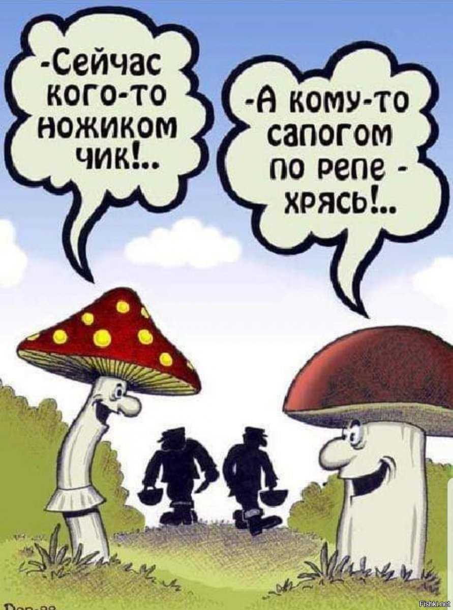 Шутки про мухоморы