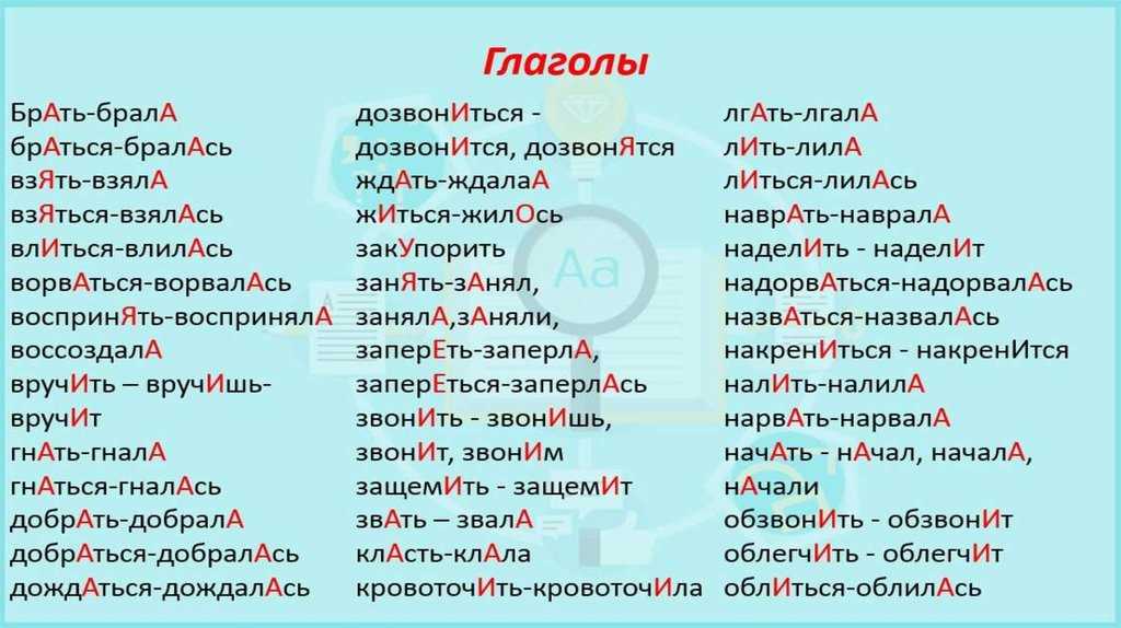 Ударение в слове мухомор из разных видов грибов