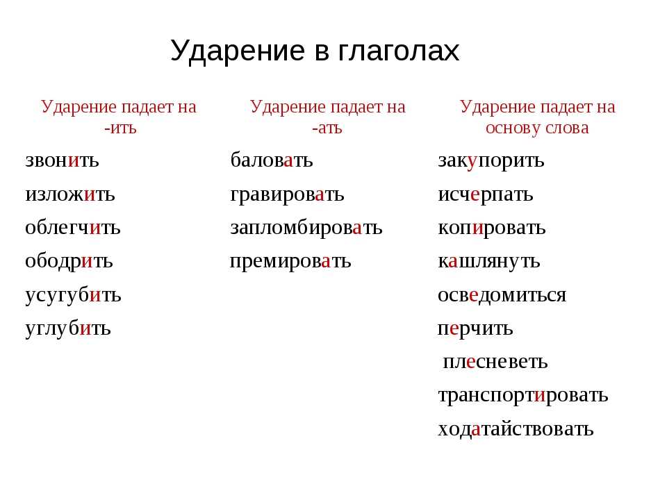 Ударение в слове мухомор: правила и исключения