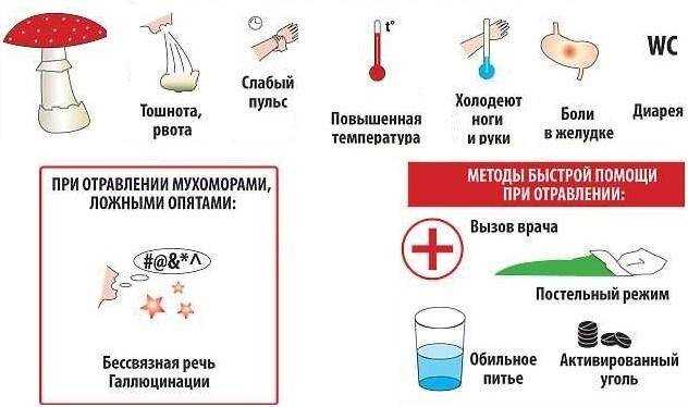 Использование мухомора в народной медицине