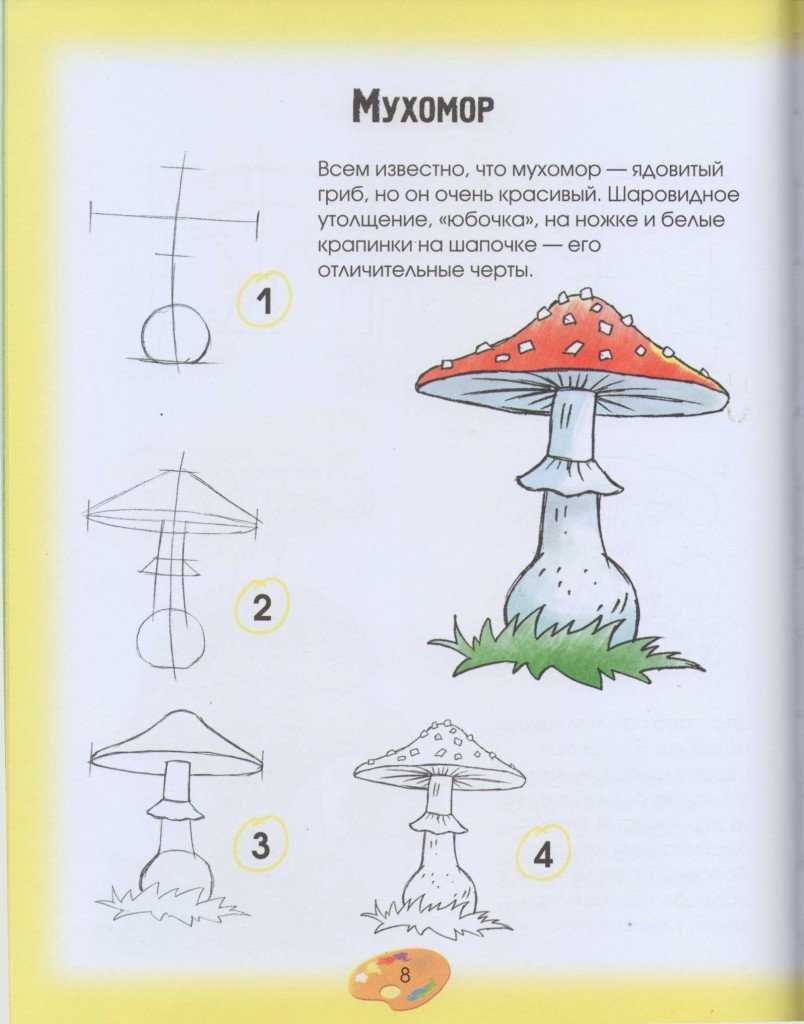 Как нарисовать лягушку в шапке мухомора Шаг за шагом с пошаговым руководством и картинками