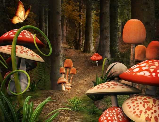 Лучшая игра про мухомор увлекательные приключения в мире грибов