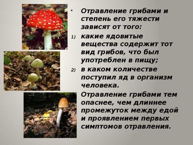 Ядовитые вещества грибы. Ядовитые растения и грибы. Отравление ядовитыми грибами. Проект ядовитые грибы и ягоды. Отравление грибами презентация.